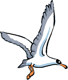 mouette